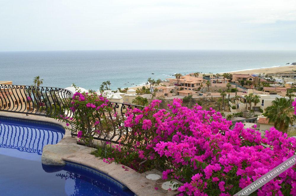 Villa Las Flores Cabo San Lucas Exteriér fotografie