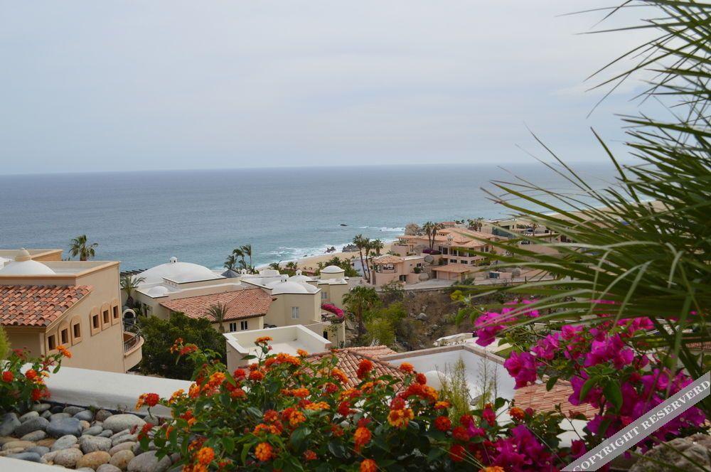 Villa Las Flores Cabo San Lucas Exteriér fotografie